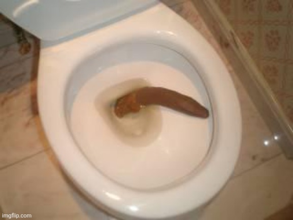 Poopmeme | image tagged in poopmeme | made w/ Imgflip meme maker