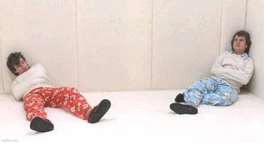 Me and who | image tagged in padded cell room duo | made w/ Imgflip meme maker