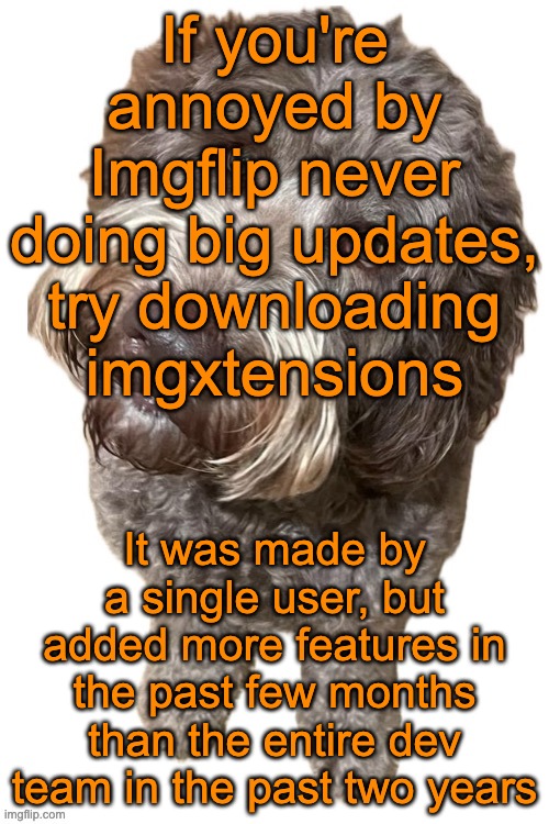 https://chromewebstore.google.com/detail/imgxtension/cknjefajnedieficemhbonakbpjmiphc?hl=en | If you're annoyed by Imgflip never doing big updates, try downloading imgxtensions; It was made by a single user, but added more features in the past few months than the entire dev team in the past two years | image tagged in norther's dog | made w/ Imgflip meme maker