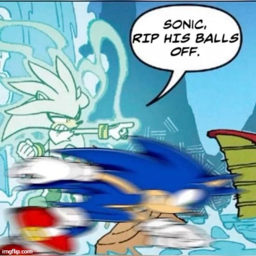 Sonic, rip his balls off. | image tagged in sonic rip his balls off | made w/ Imgflip meme maker
