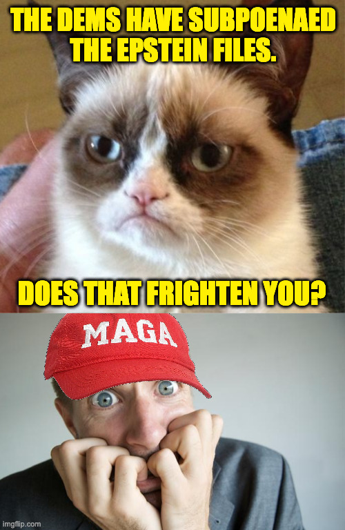 And so we enter Endgame... | THE DEMS HAVE SUBPOENAED
THE EPSTEIN FILES. DOES THAT FRIGHTEN YOU? | image tagged in memes,grumpy cat,the dems,maga,endgame | made w/ Imgflip meme maker