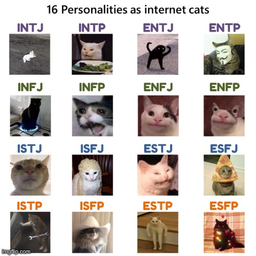 If you know your personality type it'll likely fit you If not then which does? | image tagged in cats,funny cats,personality,infj,charts,fun | made w/ Imgflip meme maker