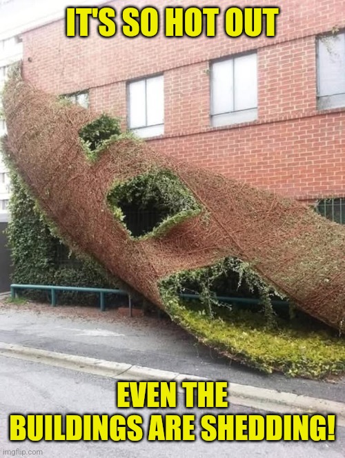 It is, getting, so hot... | IT'S SO HOT OUT; EVEN THE BUILDINGS ARE SHEDDING! | image tagged in i want to take my clothes off,hot,summer,building,shedding | made w/ Imgflip meme maker