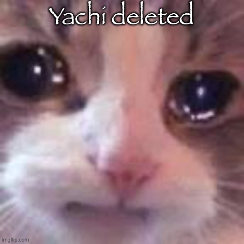 Please just let this be a horrible nightmare | Yachi deleted | image tagged in sad cat | made w/ Imgflip meme maker