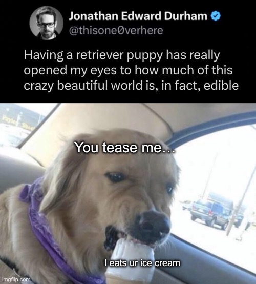 Labrador Retriever | You tease me…; I eats ur ice cream | image tagged in dog eating ice cream angrily,labrador,golden retriever,eating | made w/ Imgflip meme maker