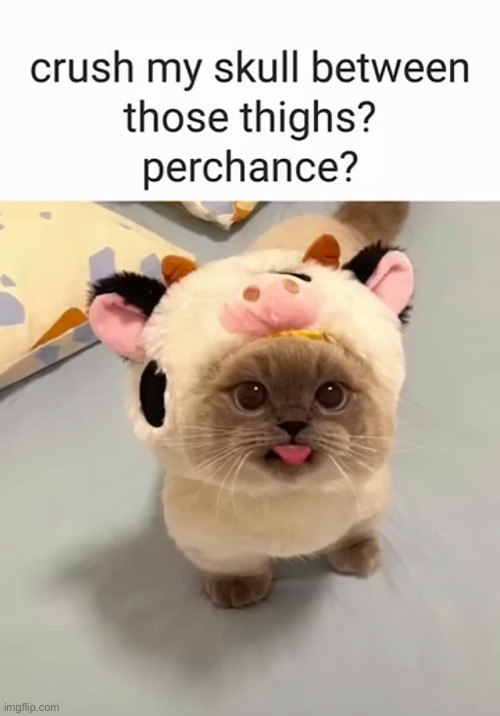 . | made w/ Imgflip meme maker