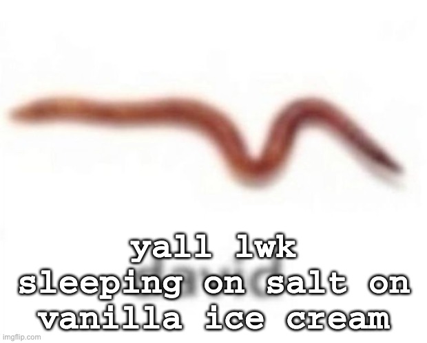 david | yall lwk sleeping on salt on vanilla ice cream | image tagged in david | made w/ Imgflip meme maker