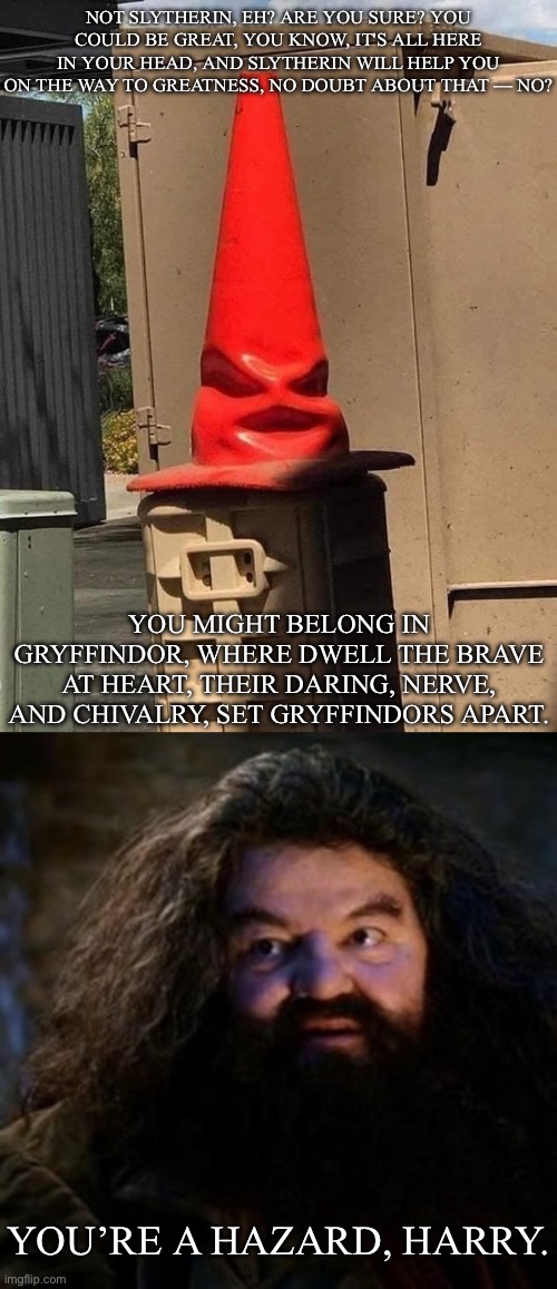 The Sorting Hat | NOT SLYTHERIN, EH? ARE YOU SURE? YOU COULD BE GREAT, YOU KNOW, IT'S ALL HERE IN YOUR HEAD, AND SLYTHERIN WILL HELP YOU ON THE WAY TO GREATNESS, NO DOUBT ABOUT THAT — NO? YOU MIGHT BELONG IN GRYFFINDOR, WHERE DWELL THE BRAVE AT HEART, THEIR DARING, NERVE, AND CHIVALRY, SET GRYFFINDORS APART. YOU’RE A HAZARD, HARRY. | image tagged in you're a wizard harry,hazard,harry potter,harry potter sorting hat,hagrid | made w/ Imgflip meme maker