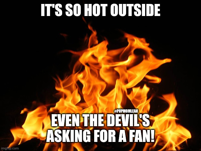It's so hot out ? | IT'S SO HOT OUTSIDE; #PUPMOMLEAH; EVEN THE DEVIL'S ASKING FOR A FAN! | image tagged in flames,hot,mugatu so hot right now | made w/ Imgflip meme maker