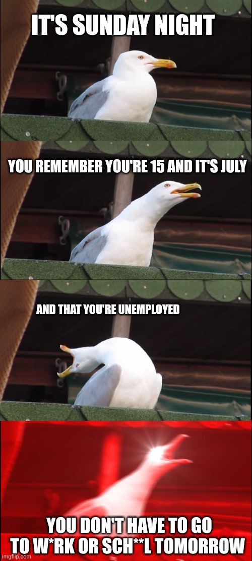 thank goodness | IT'S SUNDAY NIGHT; YOU REMEMBER YOU'RE 15 AND IT'S JULY; AND THAT YOU'RE UNEMPLOYED; YOU DON'T HAVE TO GO TO W*RK OR SCH**L TOMORROW | image tagged in memes,inhaling seagull | made w/ Imgflip meme maker