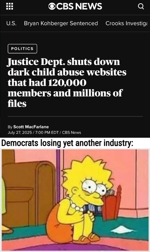 Democrats losing yet another industry: | image tagged in stressed liss,american politics,news,democrats,funny | made w/ Imgflip meme maker