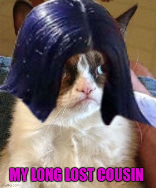 Grumpy doMima (flipped) | MY LONG LOST COUSIN | image tagged in grumpy domima flipped | made w/ Imgflip meme maker