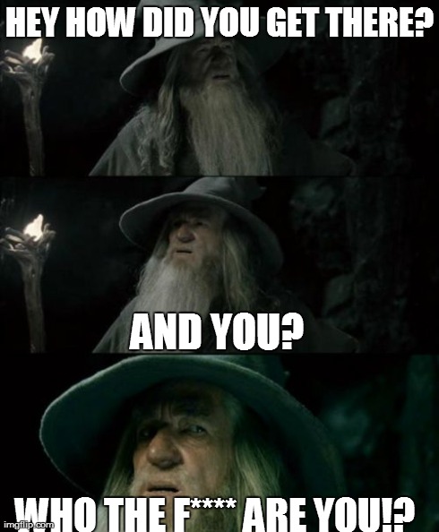 Confused Gandalf Meme | HEY HOW DID YOU GET THERE? AND YOU? WHO THE F**** ARE YOU!? | image tagged in memes,confused gandalf | made w/ Imgflip meme maker