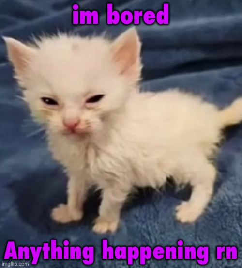 Car :3 | im bored; Anything happening rn | image tagged in car 3 | made w/ Imgflip meme maker