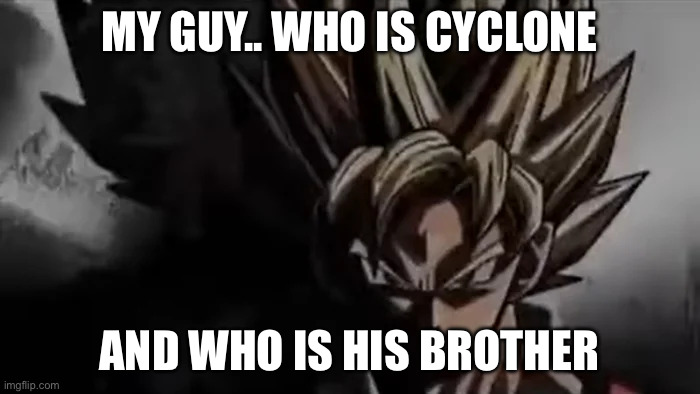 MY GUY.. WHO IS CYCLONE AND WHO IS HIS BROTHER | image tagged in goku staring | made w/ Imgflip meme maker