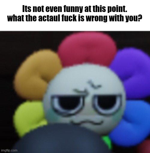 Dandy 5 | Its not even funny at this point. what the actaul fuck is wrong with you? | image tagged in dandy 5 | made w/ Imgflip meme maker