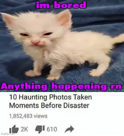 10 Moments Before Disaster | image tagged in 10 moments before disaster | made w/ Imgflip meme maker