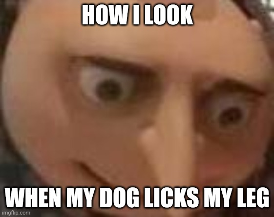 gru | HOW I LOOK; WHEN MY DOG LICKS MY LEG | image tagged in gru | made w/ Imgflip meme maker