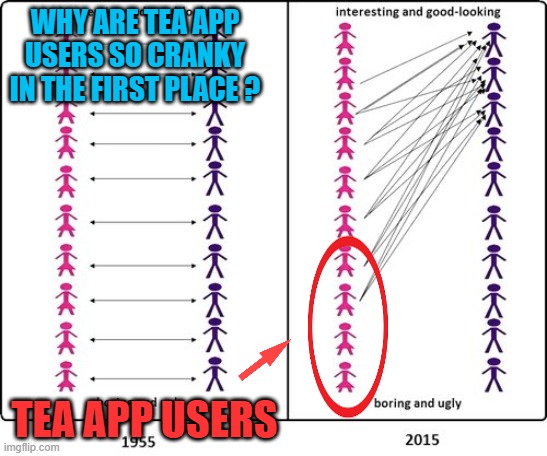 WHY ARE TEA APP USERS SO CRANKY IN THE FIRST PLACE ? TEA APP USERS | made w/ Imgflip meme maker