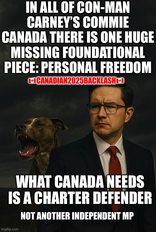 CanadaRising | IN ALL OF CON-MAN CARNEY’S COMMIE CANADA THERE IS ONE HUGE MISSING FOUNDATIONAL PIECE: PERSONAL FREEDOM; 🇨🇦CANADIAN2025BACKLASH🇨🇦; WHAT CANADA NEEDS
IS A CHARTER DEFENDER; NOT ANOTHER INDEPENDENT MP | image tagged in canadian politics | made w/ Imgflip meme maker