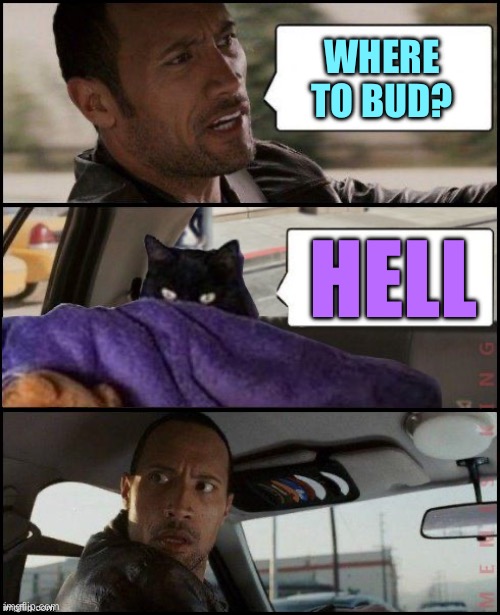 The Rock Driving Evil Cat | WHERE TO BUD? HELL | image tagged in the rock driving evil cat | made w/ Imgflip meme maker
