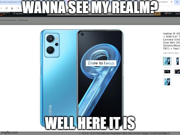 This joke is quite phony | WANNA SEE MY REALM? WELL HERE IT IS | image tagged in idk what to put here | made w/ Imgflip meme maker