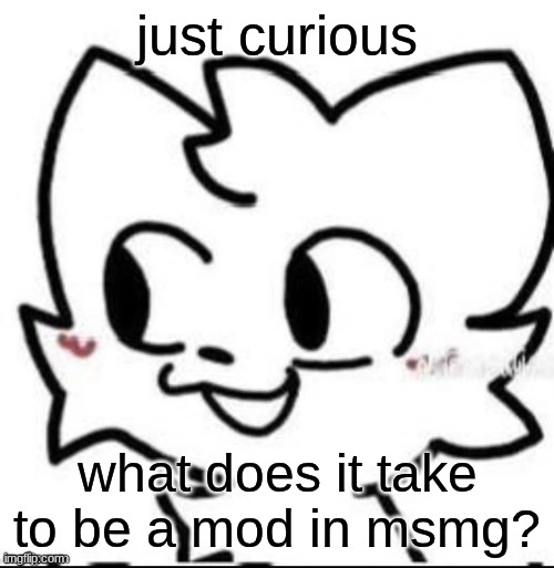 boykisser | just curious; what does it take to be a mod in msmg? | image tagged in boykisser | made w/ Imgflip meme maker
