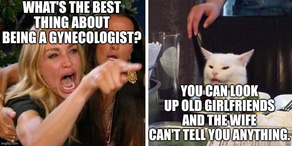 Smudge that darn cat with Karen | WHAT'S THE BEST THING ABOUT BEING A GYNECOLOGIST? YOU CAN LOOK UP OLD GIRLFRIENDS AND THE WIFE CAN'T TELL YOU ANYTHING. | image tagged in smudge that darn cat with karen | made w/ Imgflip meme maker