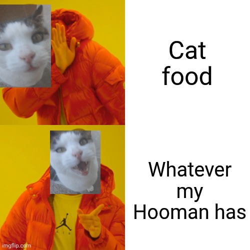Drake Hotline Bling | Cat food; Whatever my Hooman has | image tagged in memes,drake hotline bling | made w/ Imgflip meme maker