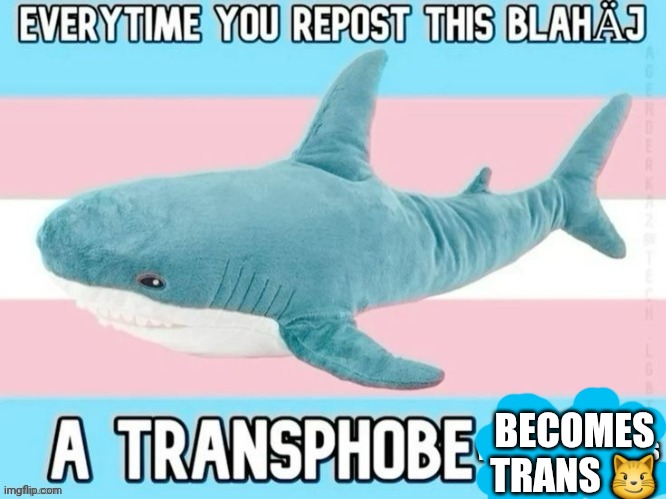 Blåhaj pacifist mode | BECOMES TRANS 😼 | image tagged in bl haj pacifist mode | made w/ Imgflip meme maker