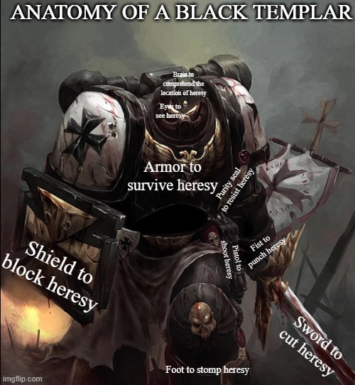ANATOMY OF A BLACK TEMPLAR Shield to block heresy Eyes to see heresy Sword to cut heresy Pistol to shoot heresy Fist to punch heresy Foot to | image tagged in black templar | made w/ Imgflip meme maker