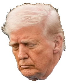 Sad Trump Blank Meme Template