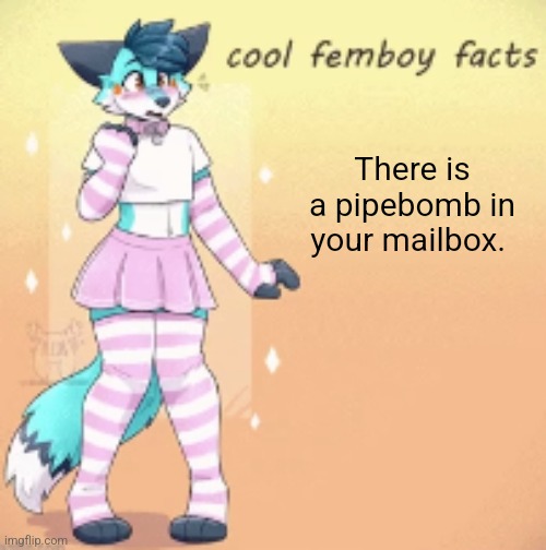 There is a pipebomb in your mailbox. | image tagged in cool femboy facts | made w/ Imgflip meme maker