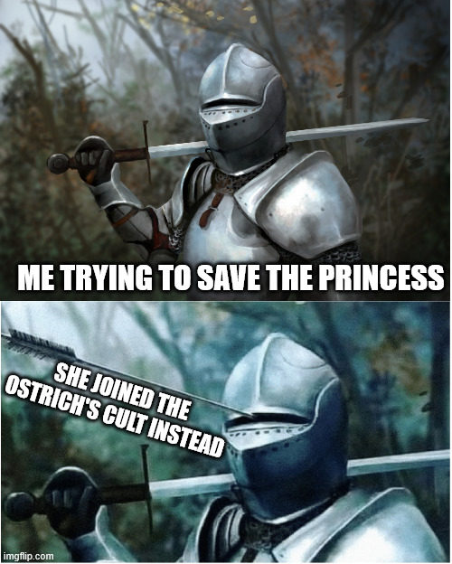 trying to save the princess be like | ME TRYING TO SAVE THE PRINCESS; SHE JOINED THE OSTRICH'S CULT INSTEAD | image tagged in knight with arrow in helmet,knightmare,knight,ttrpg,medieval memes,ostrich | made w/ Imgflip meme maker