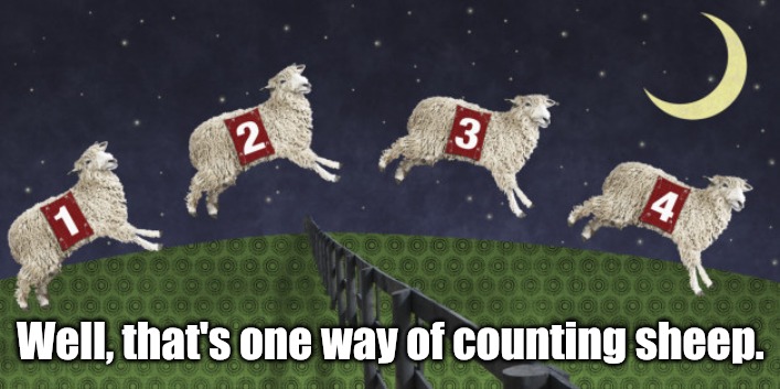 Counting sheep  | Well, that's one way of counting sheep. | image tagged in counting sheep | made w/ Imgflip meme maker