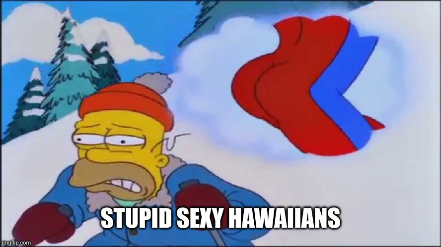 stupid sexy flanders full | STUPID SEXY HAWAIIANS | image tagged in stupid sexy flanders full | made w/ Imgflip meme maker