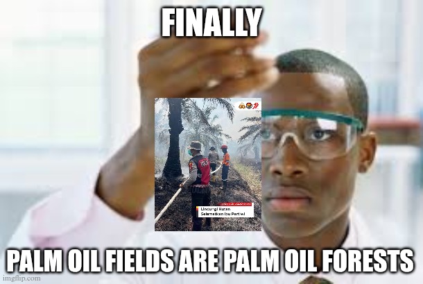Finally, Palm Oil Fields are Palm Oil Forests. | FINALLY; PALM OIL FIELDS ARE PALM OIL FORESTS | image tagged in finally | made w/ Imgflip meme maker