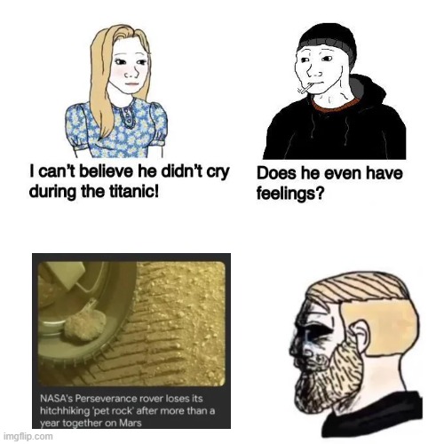 Does He Even Have Feelings | image tagged in does he even have feelings,nasa,perseverance,rover,pet,rock | made w/ Imgflip meme maker