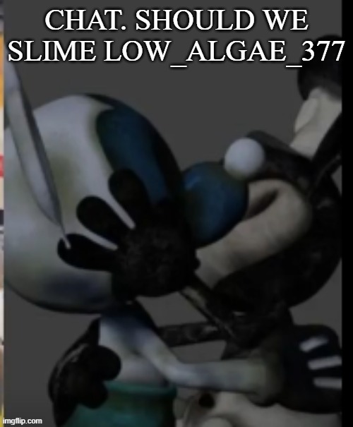 Fex | CHAT. SHOULD WE SLIME LOW_ALGAE_377 | image tagged in fex | made w/ Imgflip meme maker
