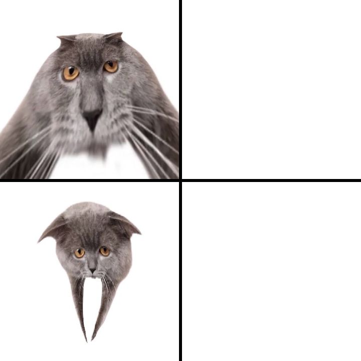 Oberezhnometano Blank Meme Template