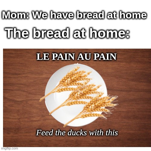 MINECRAFT | Mom: We have bread at home; The bread at home:; LE PAIN AU PAIN; Feed the ducks with this | image tagged in minecraft,bread,popular,trending,pain | made w/ Imgflip meme maker
