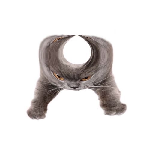 Oberezhnometano Blank Meme Template
