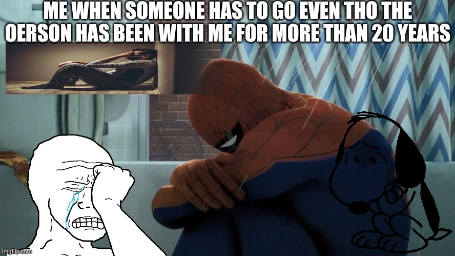Spider-Man crying in the shower | ME WHEN SOMEONE HAS TO GO EVEN THO THE OERSON HAS BEEN WITH ME FOR MORE THAN 20 YEARS | image tagged in spider-man crying in the shower | made w/ Imgflip meme maker