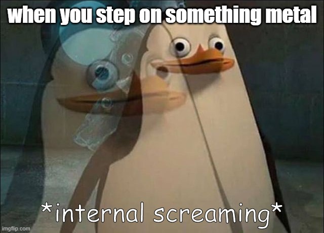ouch | when you step on something metal | image tagged in private internal screaming,memes | made w/ Imgflip meme maker