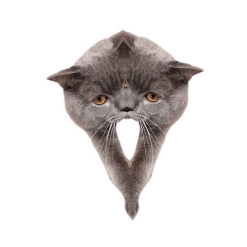Oberezhnometano Blank Meme Template