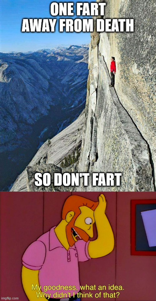 My goodness, what an idea | SO DON'T FART | image tagged in free solo,meme,the simpsons,lattice climbing,dark humor,latticeclimbing | made w/ Imgflip meme maker