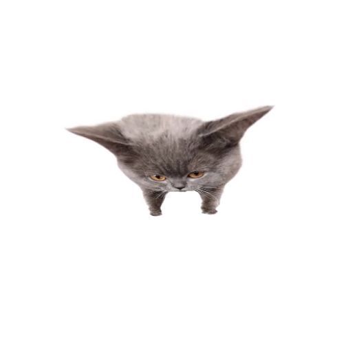 Oberezhnometano Blank Meme Template