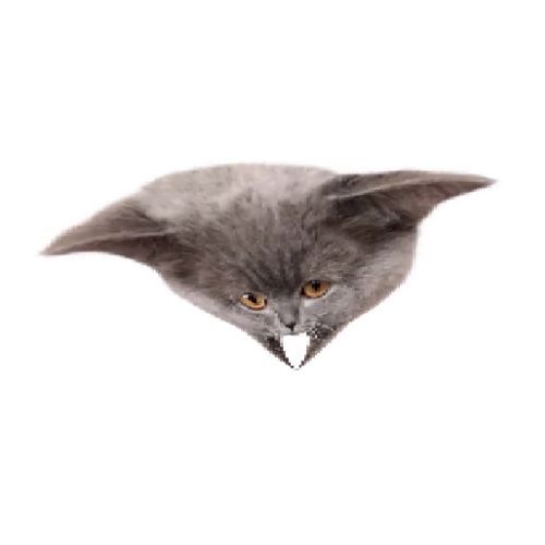 Oberezhnometano Blank Meme Template