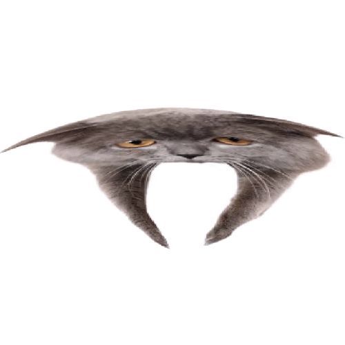 Oberezhnometano Blank Meme Template