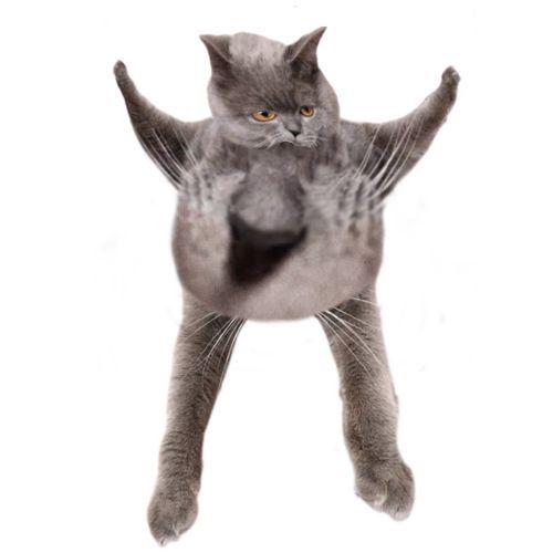 Oberezhnometano Blank Meme Template
